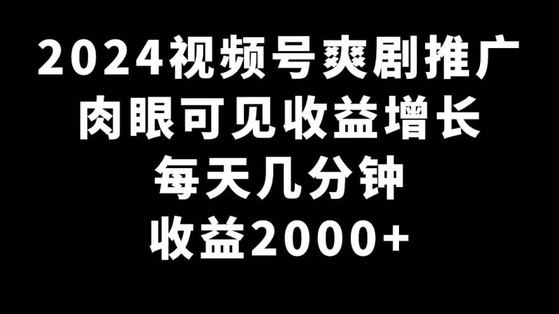 2024视频号爽剧推广，肉眼可见的收益增长，每天几分钟收益2000+-玖玖资源网