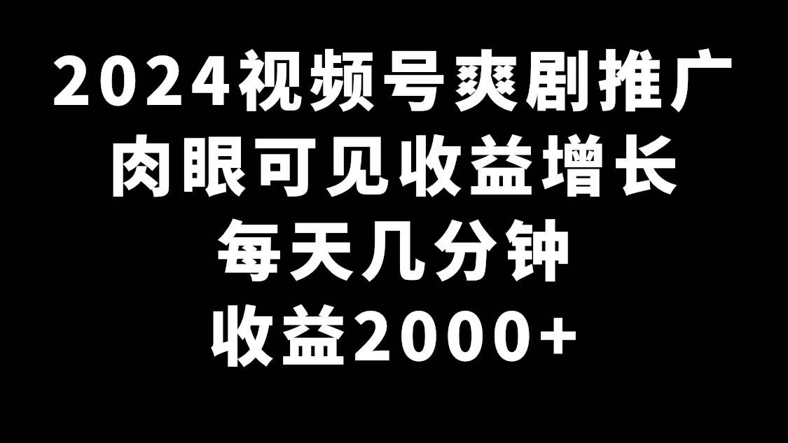 2024视频号爽剧推广，肉眼可见的收益增长，每天几分钟收益2000+-玖玖资源网