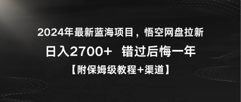 2024年最新蓝海项目，悟空网盘拉新，日入2700+错过后悔一年【附保姆级教…-玖玖资源网