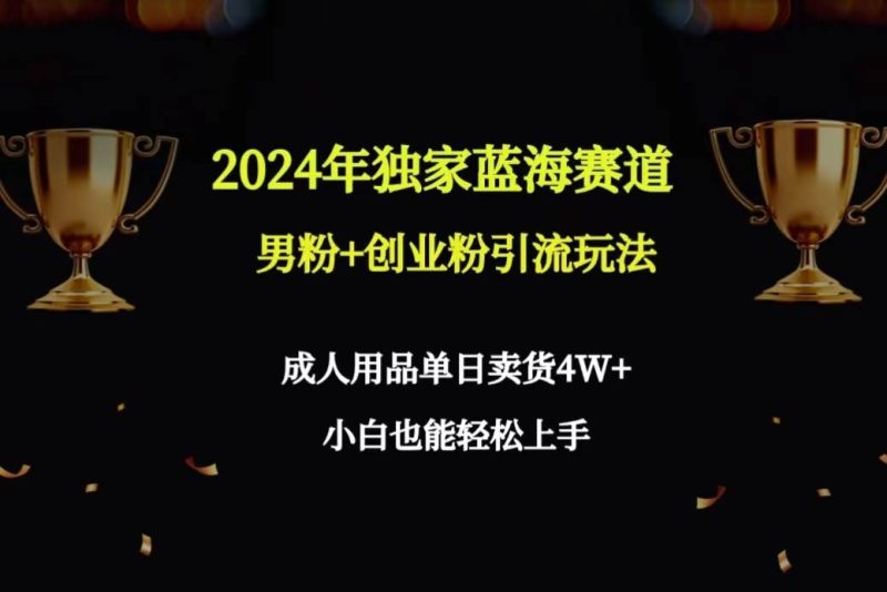 2024年独家蓝海赛道男粉+创业粉引流玩法，成人用品单日卖货4W+保姆教程-玖玖资源网
