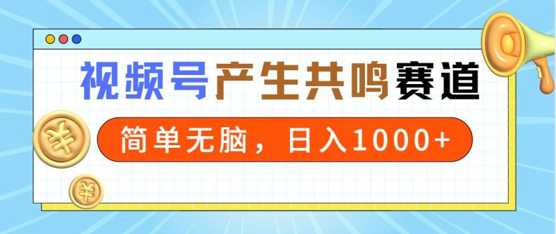 2024年视频号，产生共鸣赛道，简单无脑，一分钟一条视频，日入1000+-玖玖资源网