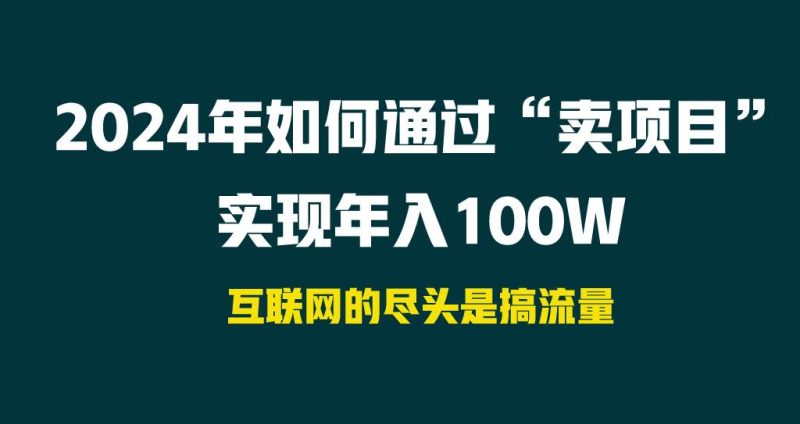2024年如何通过“卖项目”实现年入100W-玖玖资源网
