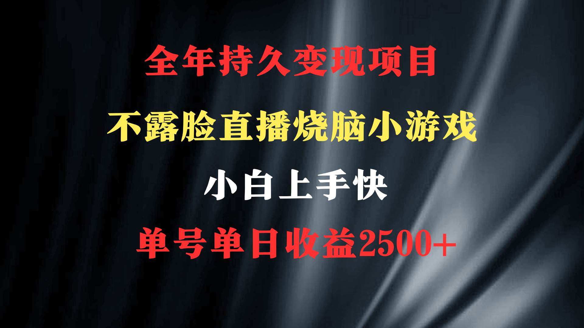 2024年 最优项目，烧脑小游戏不露脸直播  小白上手快 无门槛 一天收益2500+-玖玖资源网
