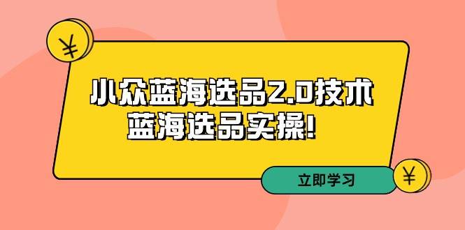 拼多多培训第33期：小众蓝海选品2.0技术-蓝海选品实操！-玖玖资源网