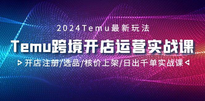 2024Temu跨境开店运营实战课，开店注册/选品/核价上架/日出千单实战课-玖玖资源网