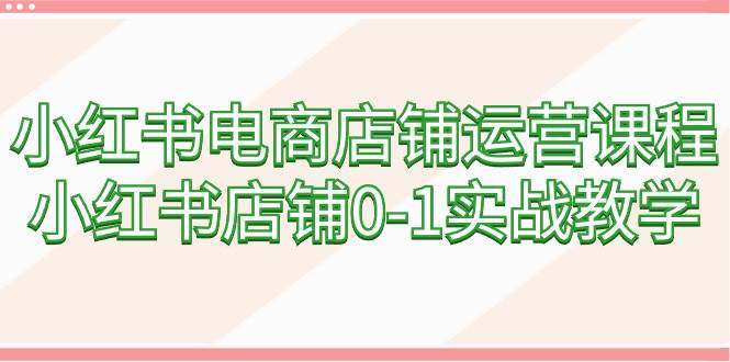 小红书电商店铺运营课程，小红书店铺0-1实战教学（60节课）-玖玖资源网