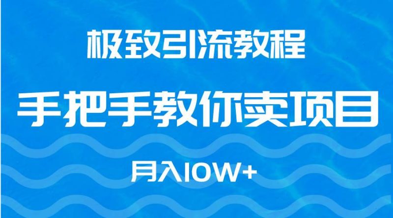 极致引流教程，手把手教你卖项目，月入10W+-玖玖资源网