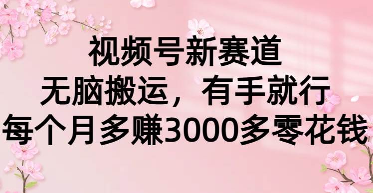 视频号新赛道，无脑搬运，有手就行，每个月多赚3000多零花钱-玖玖资源网
