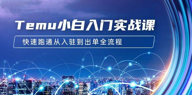 Temu小白入门实战课：跨境拼多多电商培训 快速跑通从入驻到出单全流程-12节-玖玖资源网