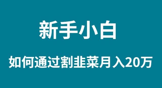 新手小白如何通过割韭菜月入 20W-玖玖资源网