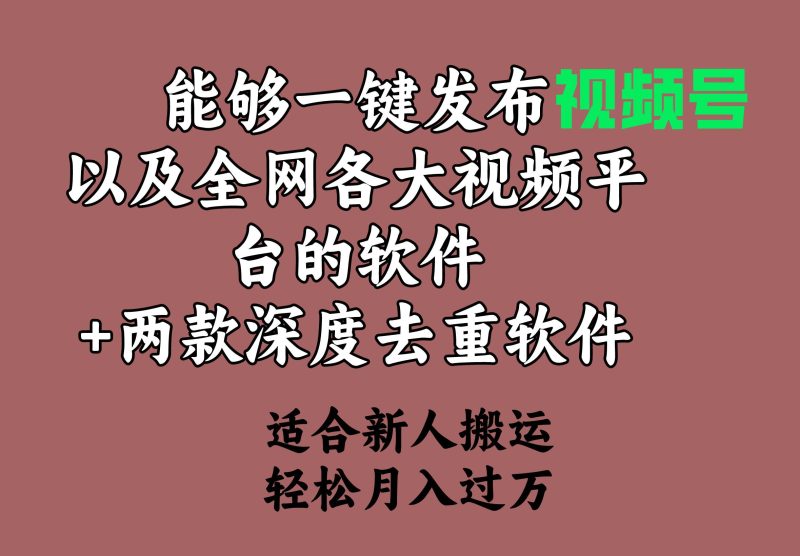 能够一键发布视频号以及全网各大视频平台的软件+两款深度去重软件 适合…-玖玖资源网