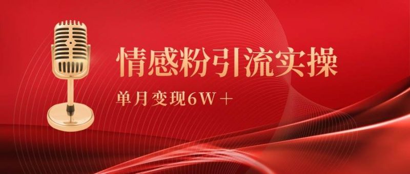 单月变现6w+，情感粉引流变现实操课-玖玖资源网