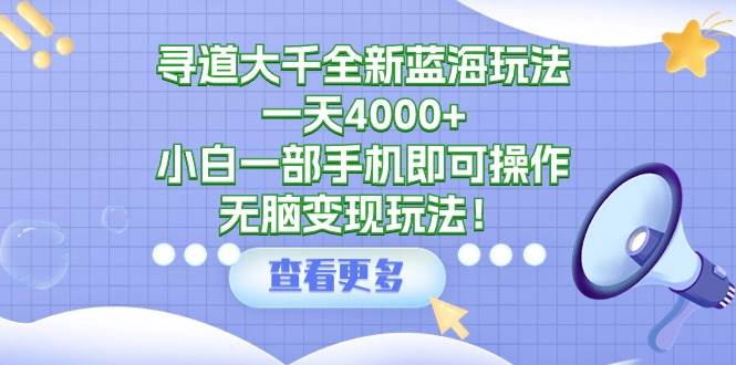 寻道大千全新蓝海玩法，一天4000+，小白一部手机即可操作，无脑变现玩法！-玖玖资源网