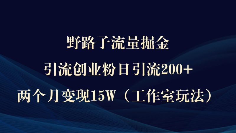 野路子流量掘金，引流创业粉日引流200+，两个月变现15W（工作室玩法））-玖玖资源网
