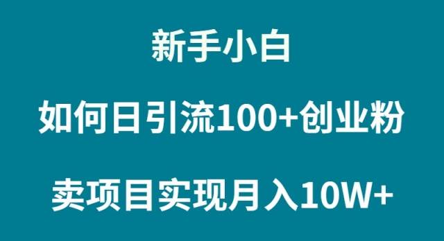 新手小白如何通过卖项目实现月入10W+-玖玖资源网