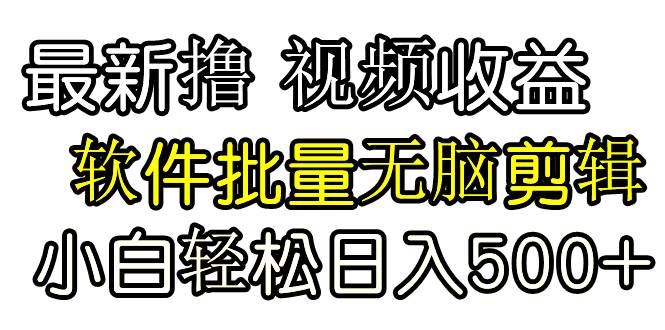 发视频撸收益，软件无脑批量剪辑，第一天发第二天就有钱-玖玖资源网