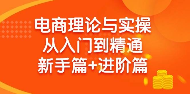 电商理论与实操从入门到精通 新手篇+进阶篇-玖玖资源网