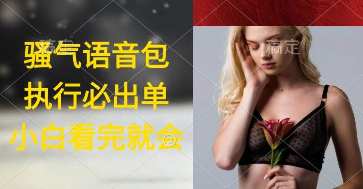 执行就出单，日入2000+，超火骚气语音包，小白看完课程就能马上实操-玖玖资源网