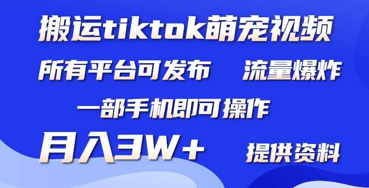 搬运Tiktok萌宠类视频，一部手机即可。所有短视频平台均可操作，月入3W+-玖玖资源网