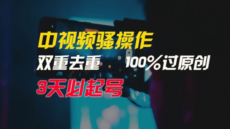 中视频骚操作，双重去重100%过原创，3天比必起号，简单无脑，月入3W+-玖玖资源网