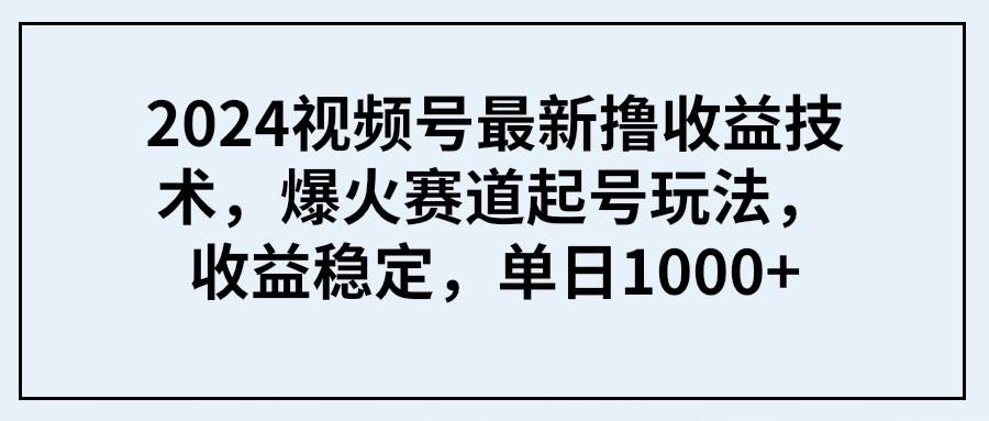 2024视频号最新撸收益技术，爆火赛道起号玩法，收益稳定，单日1000+-玖玖资源网