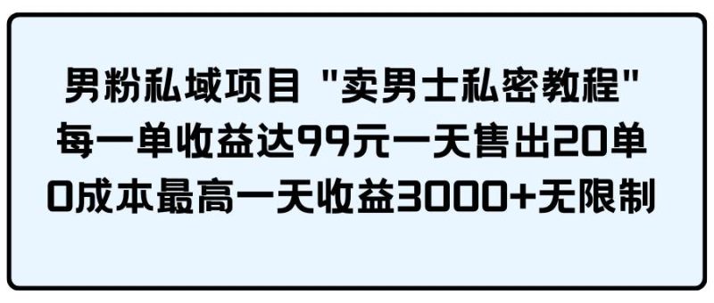男粉私域项目 卖男士私密教程 每一单收益达99元一天售出20单-玖玖资源网