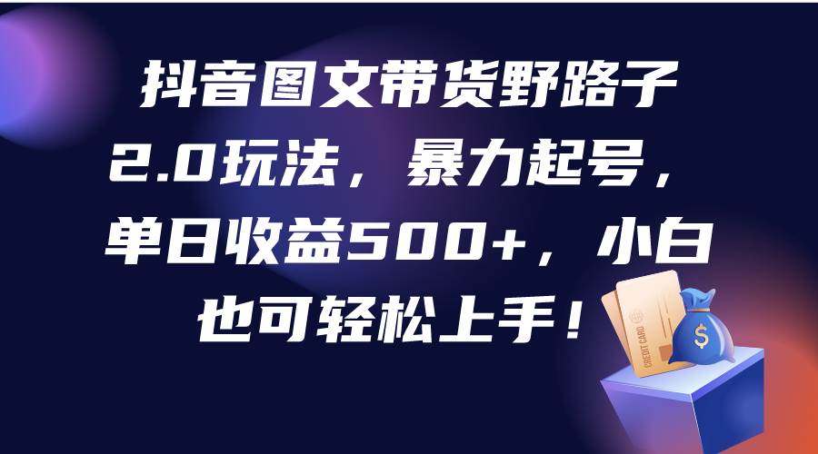 抖音图文带货野路子2.0玩法，暴力起号，单日收益500+，小白也可轻松上手！-玖玖资源网