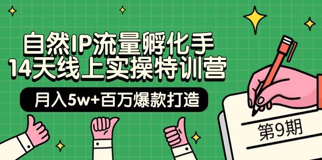 自然IP流量孵化手 14天线上实操特训营【第9期】月入5w+百万爆款打造 (74节)-玖玖资源网