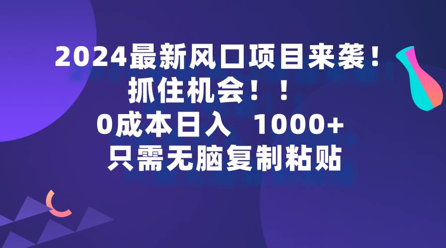 2024最新风口项目来袭，抓住机会，0成本一部手机日入1000+，只需无脑复…-玖玖资源网