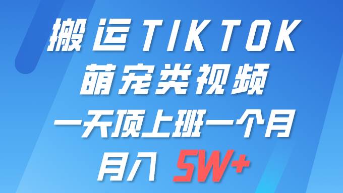 一键搬运TIKTOK萌宠类视频 一部手机即可操作 所有平台均可发布 轻松月入5W+-玖玖资源网