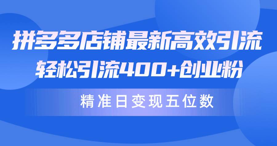 拼多多店铺最新高效引流术，轻松引流400+创业粉，精准日变现五位数！-玖玖资源网