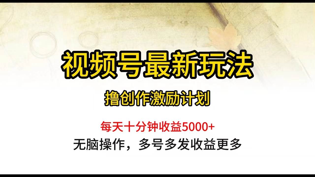 视频号最新玩法，每日一小时月入5000+-玖玖资源网