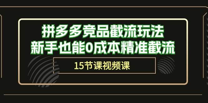 拼多多竞品截流玩法，新手也能0成本精准截流（15节课）-玖玖资源网