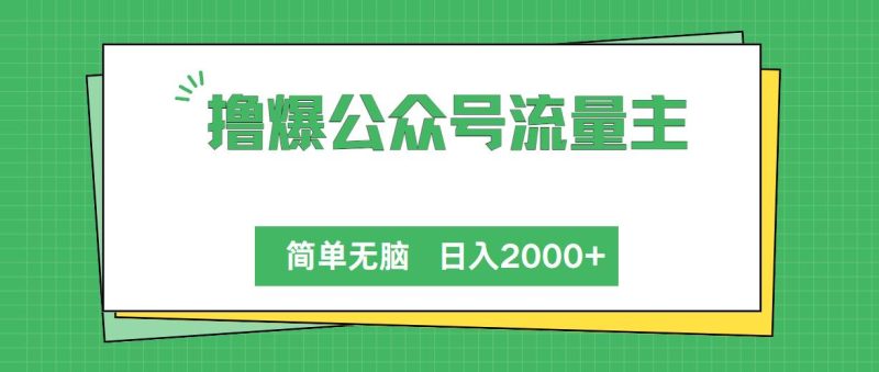 撸爆公众号流量主，简单无脑，单日变现2000+-玖玖资源网