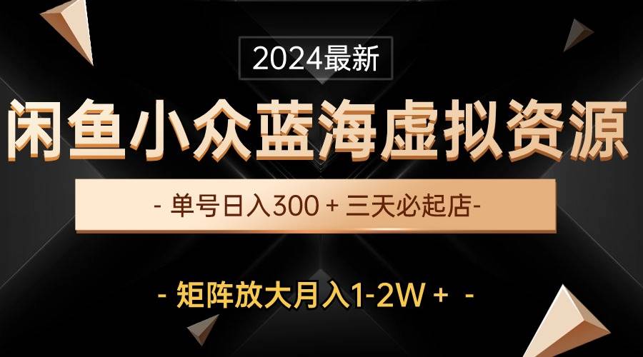 最新闲鱼小众蓝海虚拟资源，单号日入300＋，三天必起店，矩阵放大月入1-2W-玖玖资源网