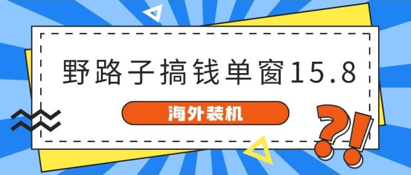 海外装机，野路子搞钱，单窗口15.8，已变现10000+-玖玖资源网