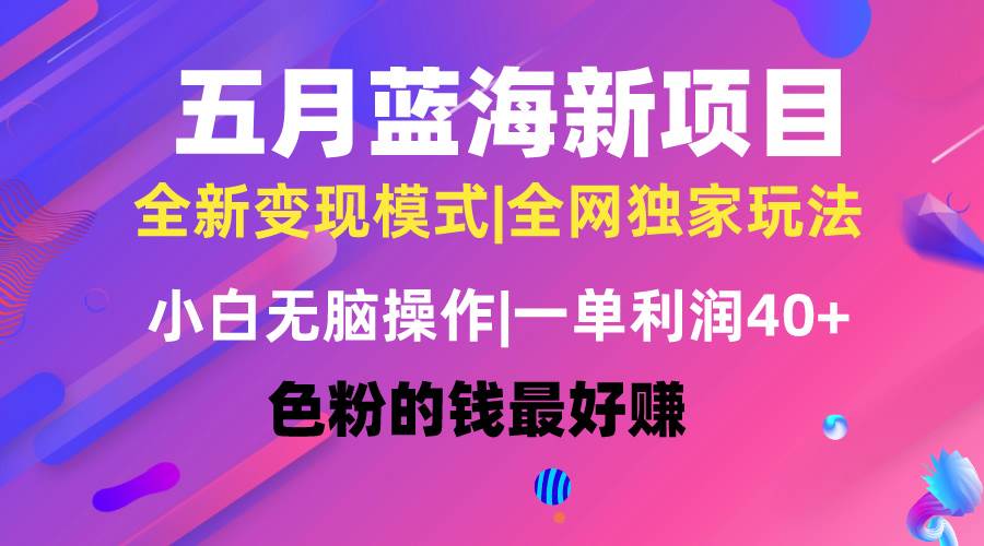 五月蓝海项目全新玩法，小白无脑操作，一天几分钟，矩阵操作，月入4万+-玖玖资源网