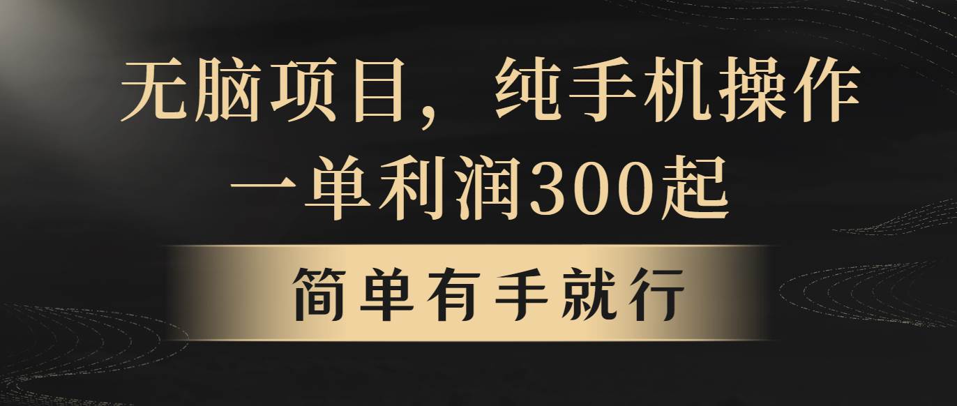 无脑项目，一单几百块，轻松月入5w+，看完就能直接操作-玖玖资源网