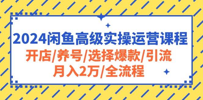 2024闲鱼高级实操运营课程：开店/养号/选择爆款/引流/月入2万/全流程-玖玖资源网