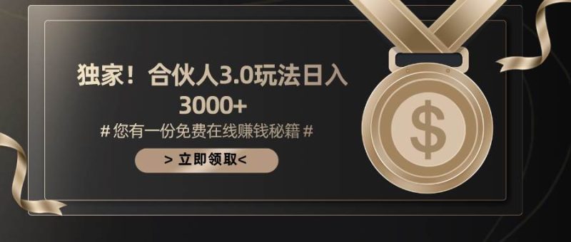 游戏合伙人3.0，日入3000+，无限扩大的蓝海项目-玖玖资源网