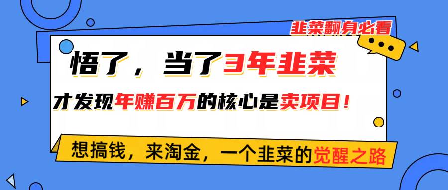 悟了，当了3年韭菜，才发现网赚圈年赚100万的核心是卖项目，含泪分享！-玖玖资源网