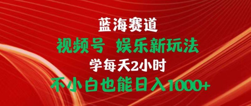 蓝海赛道视频号 娱乐新玩法每天2小时小白也能日入1000+-玖玖资源网