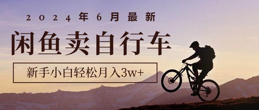 2024年6月最新闲鱼卖自行车，新手小白轻松月入3w+项目-玖玖资源网