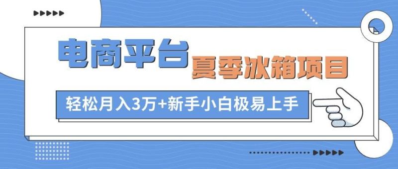 电商平台夏季冰箱项目，轻松月入3万+，新手小白极易上手-玖玖资源网