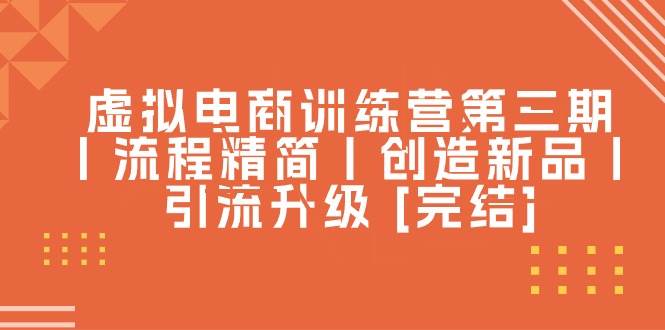 虚拟电商训练营第三期丨流程精简丨创造新品丨引流升级 [完结]-玖玖资源网