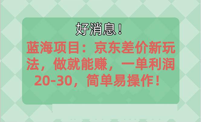 越早知道越能赚到钱的蓝海项目：京东大平台操作，一单利润20-30，简单…-玖玖资源网