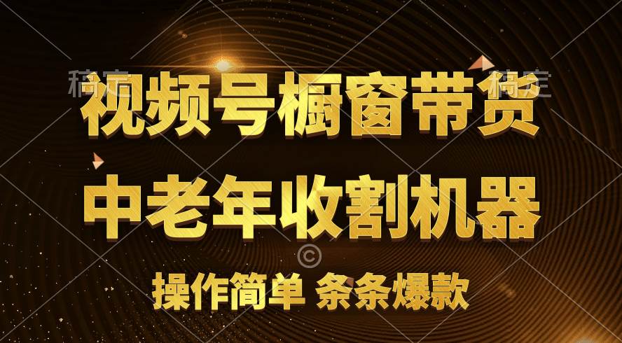 [你的孩子成功取得高位]视频号最火爆赛道，橱窗带货，流量分成计划，条…-玖玖资源网