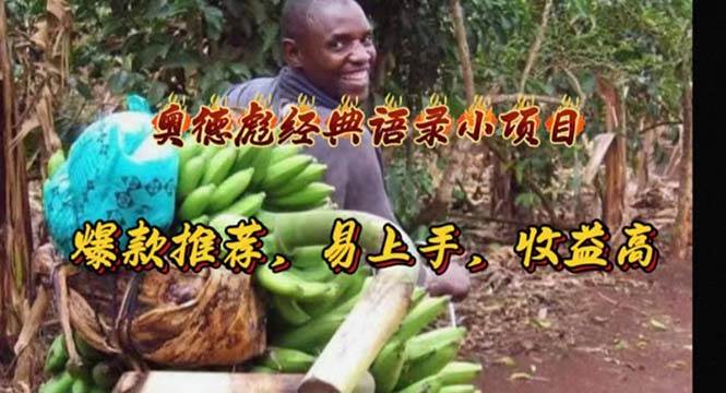 奥德彪经典语录小项目，爆款推荐，易上手，收益高-玖玖资源网