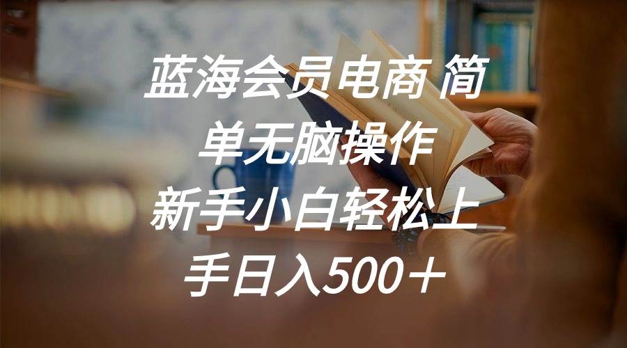 蓝海会员电商 简单无脑操作 新手小白轻松上手日入500＋-玖玖资源网