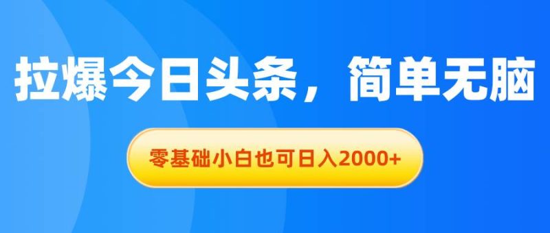 拉爆今日头条，简单无脑，零基础小白也可日入2000+-玖玖资源网